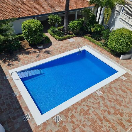 Estudio Brillante, Confortable Y Agradable Puerto de la Cruz  Exteriör bild