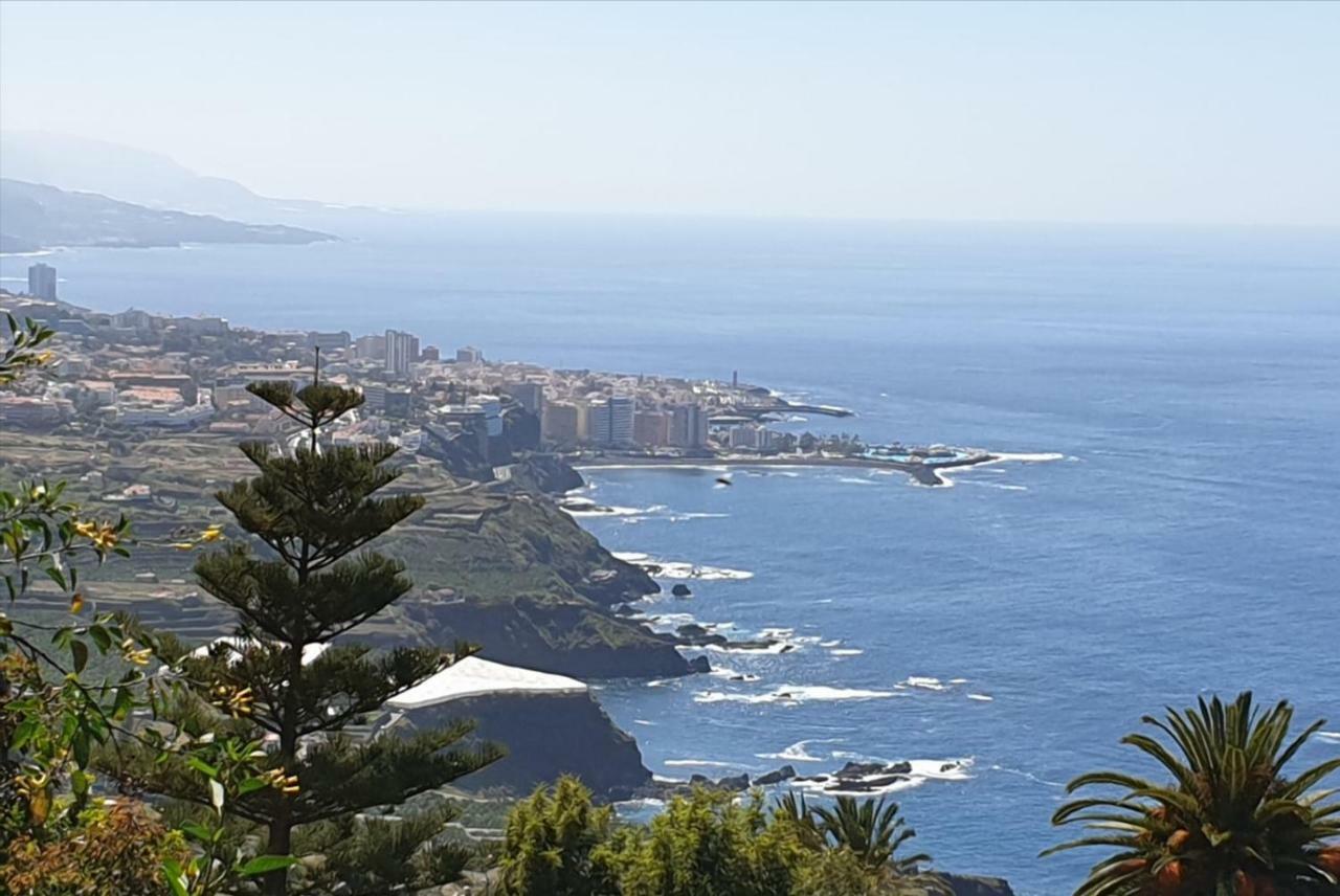 Estudio Brillante, Confortable Y Agradable Puerto de la Cruz  Exteriör bild
