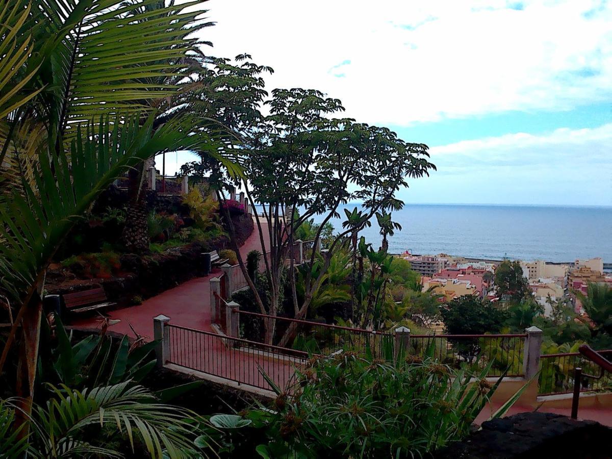 Estudio Brillante, Confortable Y Agradable Puerto de la Cruz  Exteriör bild