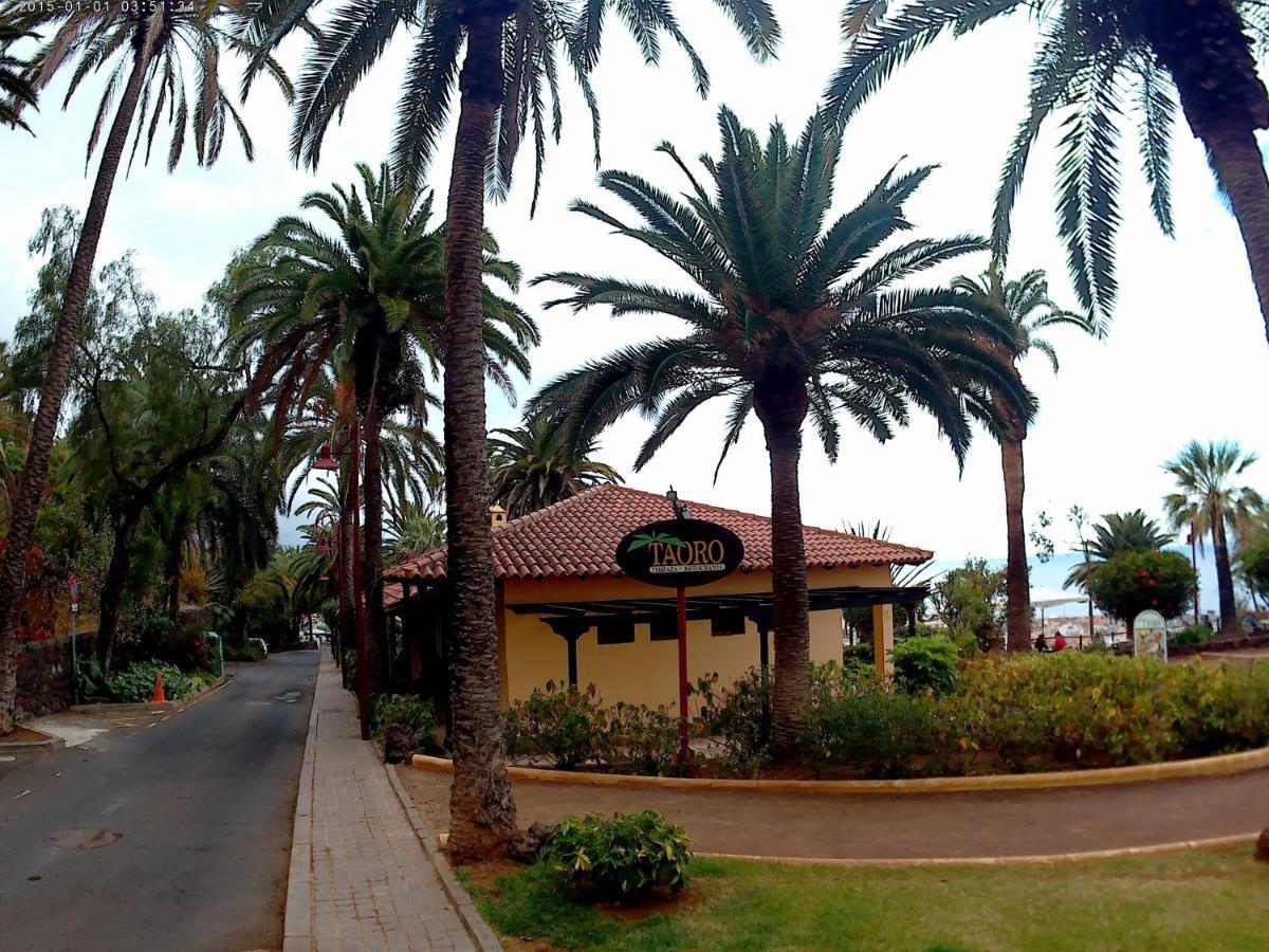 Estudio Brillante, Confortable Y Agradable Puerto de la Cruz  Exteriör bild