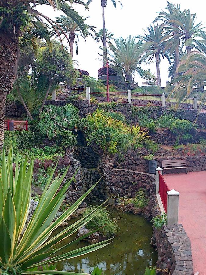 Estudio Brillante, Confortable Y Agradable Puerto de la Cruz  Exteriör bild