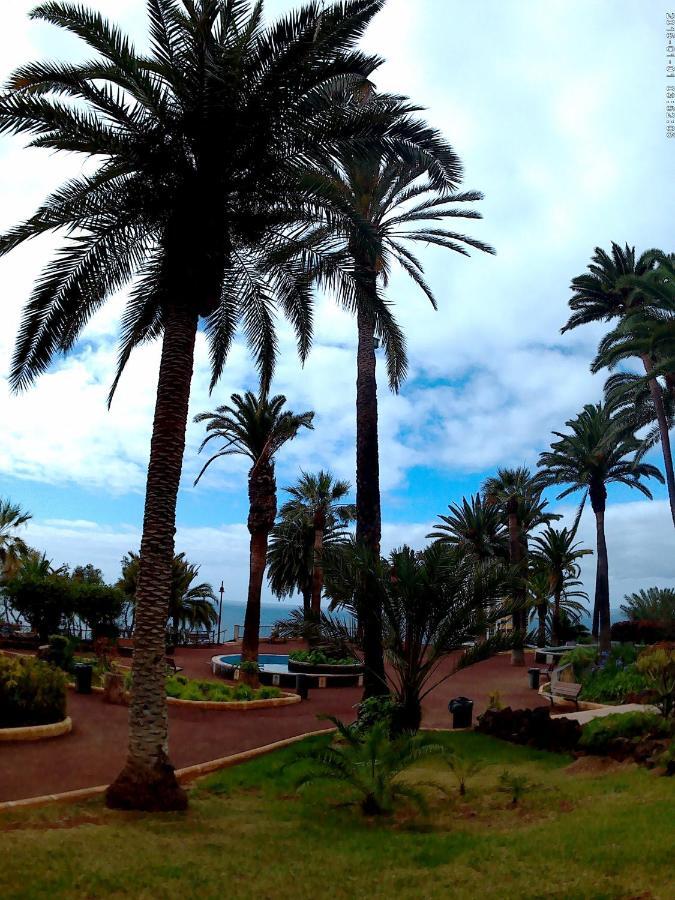 Estudio Brillante, Confortable Y Agradable Puerto de la Cruz  Exteriör bild